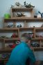 Ply Modular shelving from $90