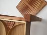 Chess and Backgammon